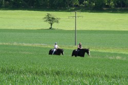 mühlhausen17 05 09 047