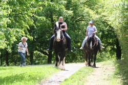mühlhausen17 05 09 047