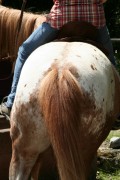 mühlhausen17 05 09 047