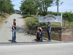 img 0641