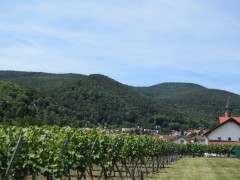 img 0641