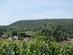 img 0641