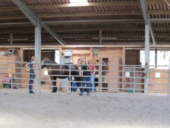 img 0645