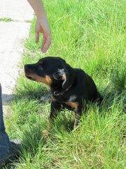 img 0659 kopie